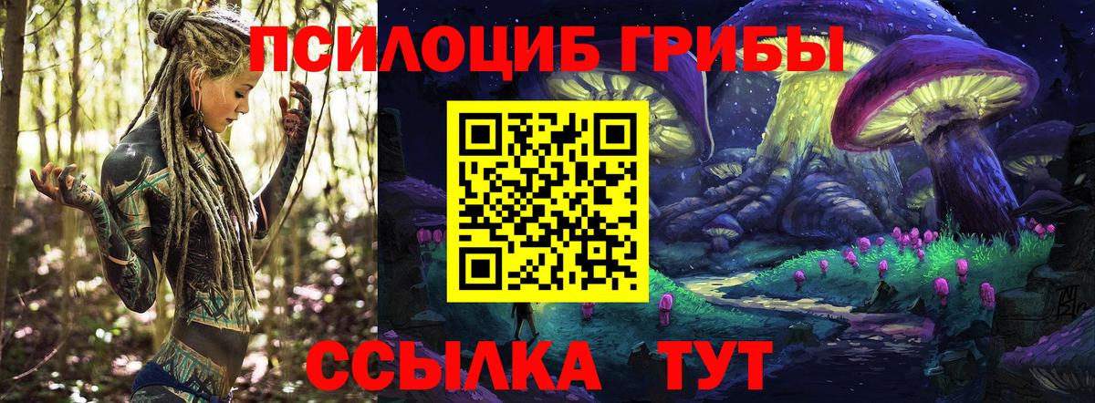 Псилоцибиновые грибы прущие грибы Ачхой-Мартан