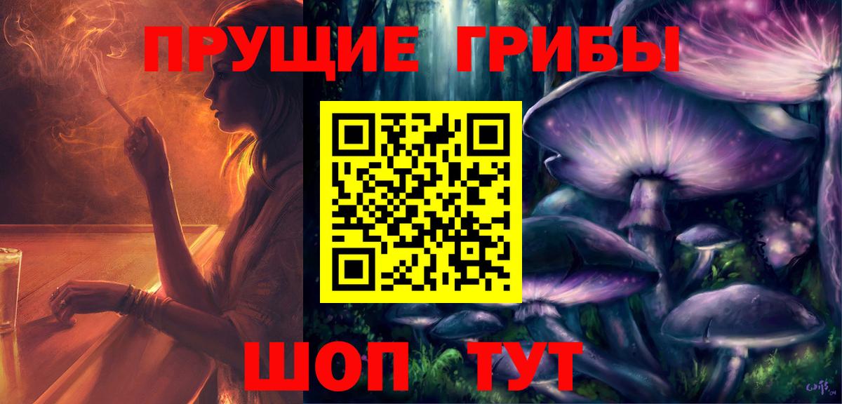 Ачхой-Мартан  Псилоцибиновые грибы Psilocybe  Вход с VPN 